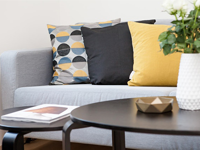 cushion (1).jpg