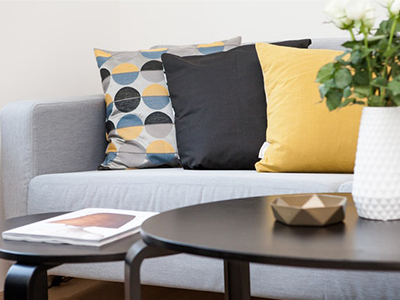 cushion (1).jpg
